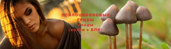 герыч Козловка