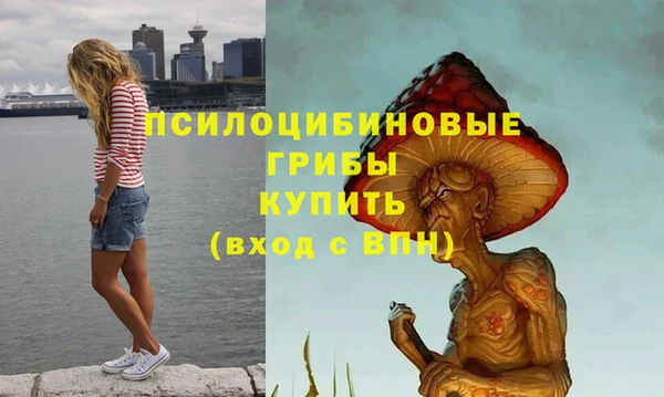 MDMA Premium VHQ Козельск