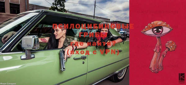 герыч Козловка