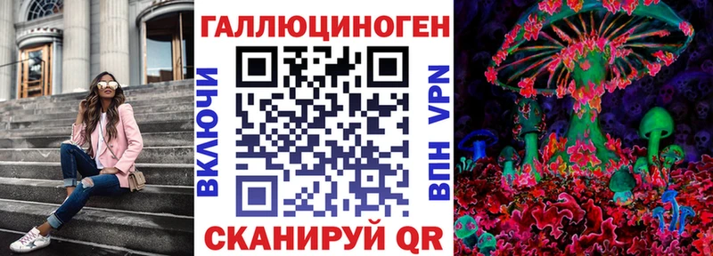 Купить закладки  Чехов  Псилоцибиновые грибы MAGIC MUSHROOMS 